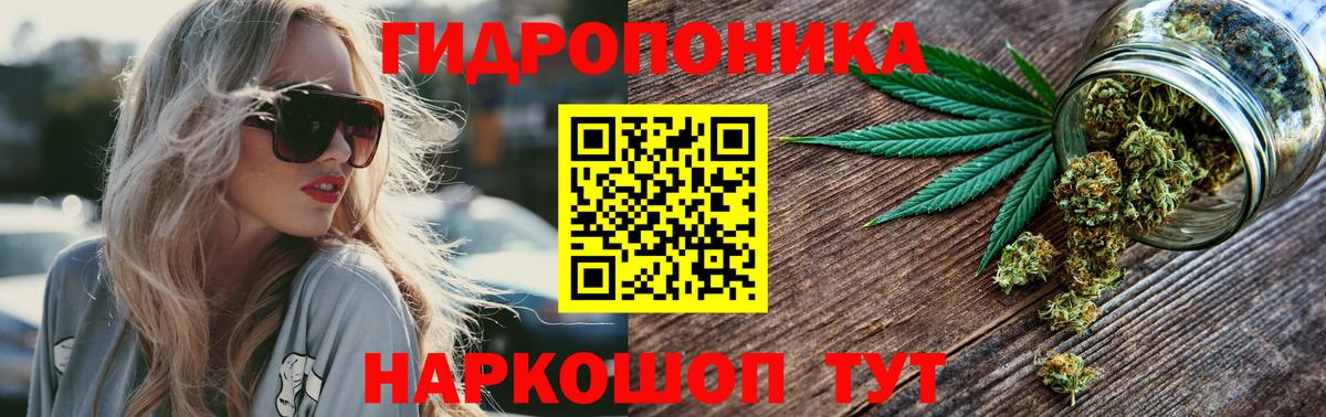 Шишки марихуана VHQ Маркс